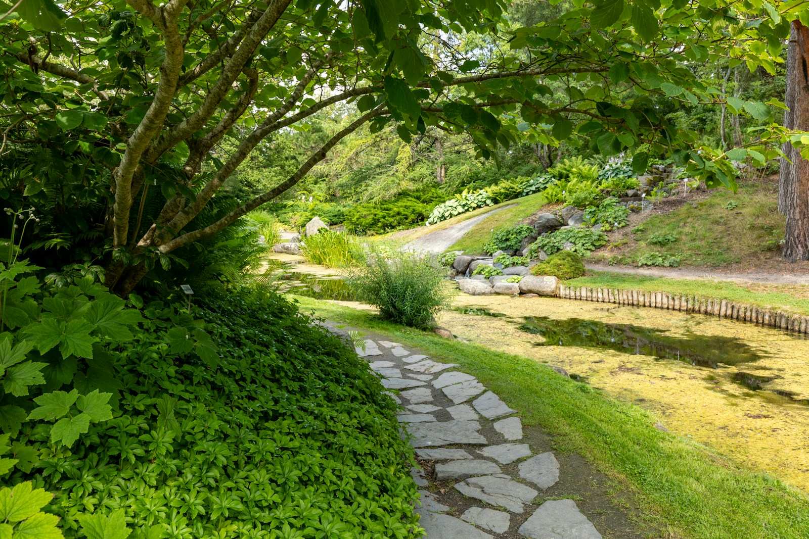Flagstone garden walk, Naperville